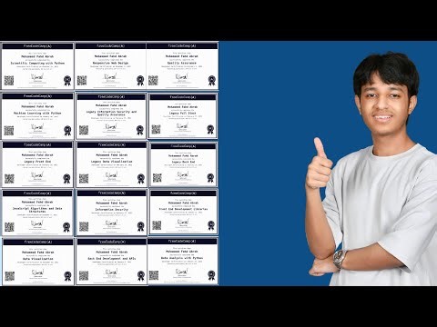 How freeCodeCamp Built My Programming Foundation: From Web Development to Machine Learning