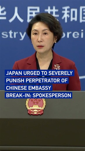 Japan urged to severely punish perpetrator of Chinese embassy break-in: spokesperson