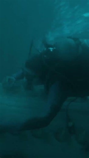 Unlike Anything | Whalefall | In Cinemas Now