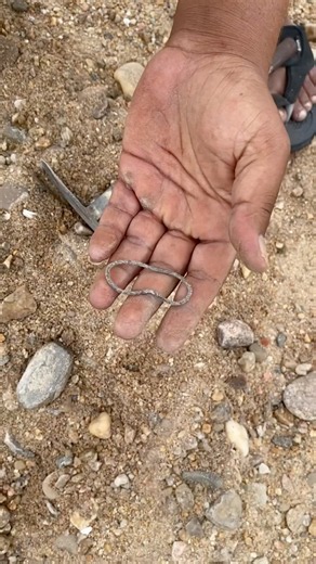 Metal Detector Found Old Silver!😱 #shorts #shortvideo #shortsfeed #youtubeshorts #youtuber #youtube
