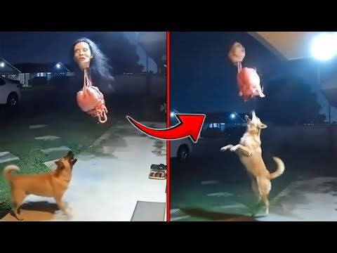 CCTV Captured Terrifying Videos That'll Give You Nightmares!