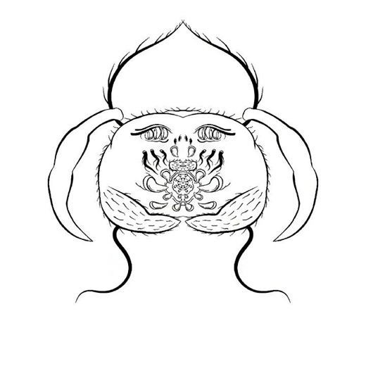 🖤 Creating the Creature: Full Digital Illustration Process 👁️