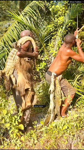 Rare African Tree Lion Encounter And Tribal Bow Hunters