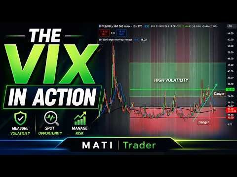 How the VIX Works in ACTION