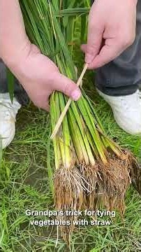8 Ingenious Farming Hacks From Grandpa’s Years of Experience #tips #lifehacks