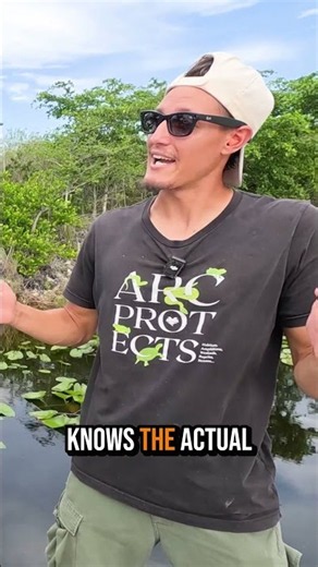 How Long Can an Alligator REALLY Live? 🐊 | Gator School Ep. 2