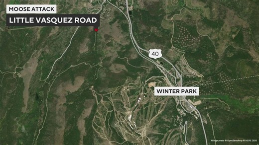 Moose attacks and injures woman in Grand County