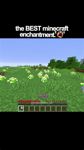 the BEST minecraft ENCHANTMENT 😭
