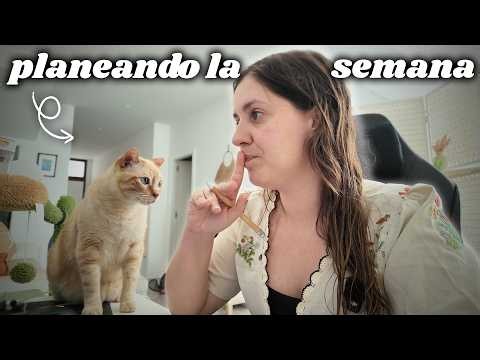 Organizando mi semana y mi nuevo JOYERO!!! 🌼 *vlog semanal*