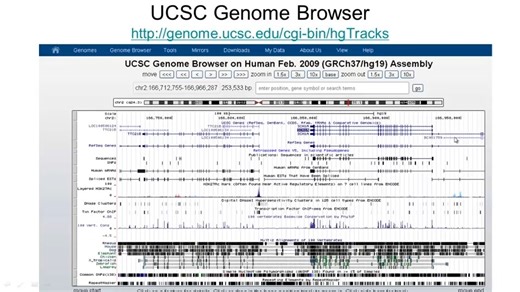 6 - 7 - 3-2-4 UCSC Genome Browser (chinese version) UCSC基因组浏览器 (中文版) [05-28]
