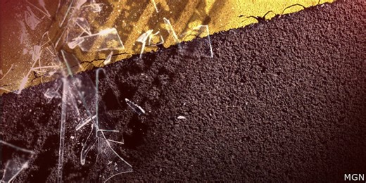 SCHP: 1 dead, 1 hospitalized after single-vehicle crash in Georgetown County