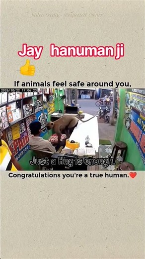 Jay Hanuman Ji 🙏 Bandar Ne Kiya Aadmi Ko Hug - Dekh Ke Rona Aa Jayega ❤️