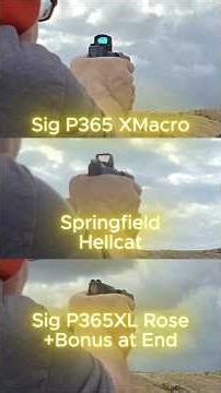 Sig 365XL Rose (w/comp), Sig P365 XMacro (w/comp), Springfield Hellcat