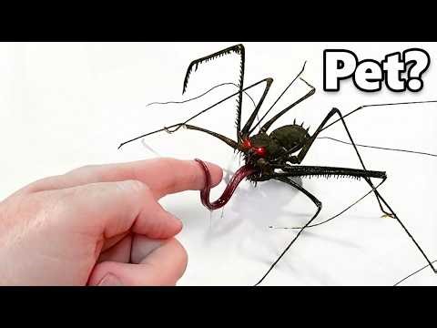 I Got a Pet Alien (kinda)