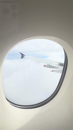 Singapore Airlines #singaporeairlines #airplane #fly #flightvideos #plane #airplaneflying