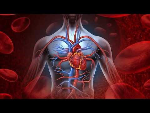 Diseases & Dysfunction Associated with Not Eating Enough - Part 2 #CoachRobb #SX #MX