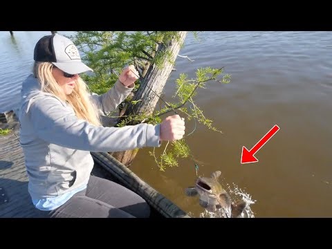 We Used LIMB LINES, YO-YO's in the Swamp, and Big LIVE BAIT To Catch Our FOOD! **Big Catfish!!!**