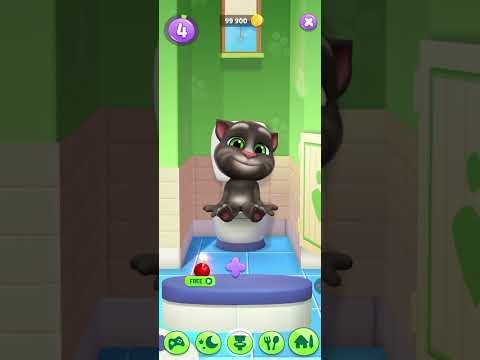 🐱✨ Fun moments with Tom! Watch, smile, and enjoy the adventure! 💚