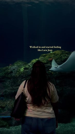 Exploring Seattle's Aquarium Highlights