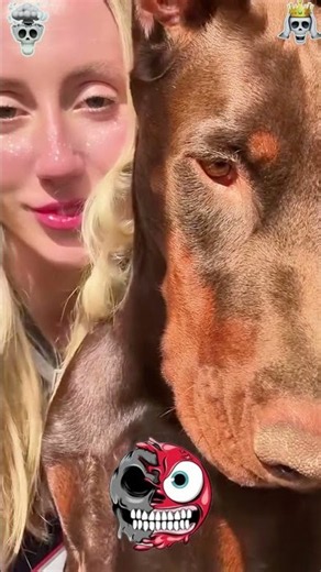 😱🐕💀why dobermans are the best ❤️🐕 #shorts #youtubeshorts