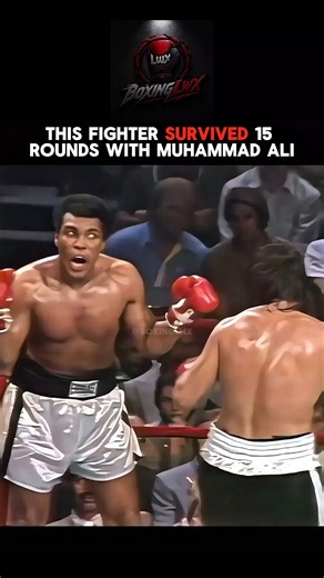 Muhammad Ali vs Alfredo Evangelista (1977) - Highlights 🥊 #boxing #shorts #new
