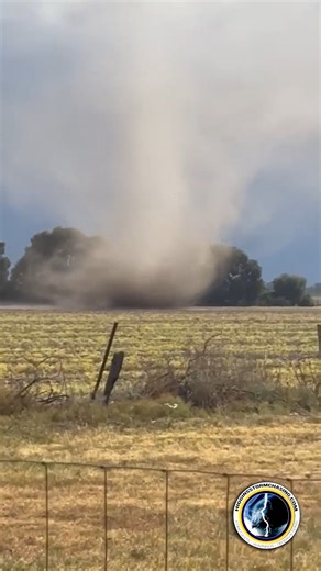 WOW! Watch as this dust devil tears through Kimberley's backyard in Bowenville, QLD. The spinner went straight through her yard and then into the nearby paddock before growing much larger and stronger! Video by HSC follower Kimberley | Higgins Storm Chasing