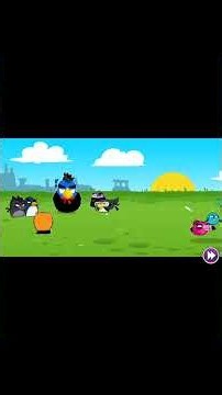 vallain birds