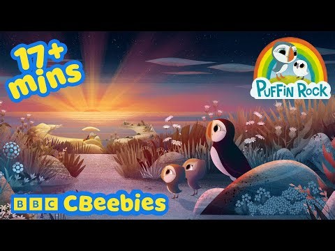 Sleepy Seaside Adventures 🌊 | Puffin Rock Compilation | CBeebies