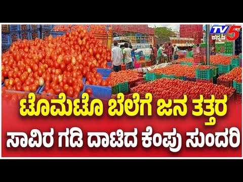 Tomato Prices Cross ₹8,000 Per Quintal In Karnataka | ಬೆಲೆಗೆ ಜನ ತತ್ತರ ಸಾವಿರ ಗಡಿ ದಾಟಿದ ಕೆಂಪು ಸುಂದರಿ