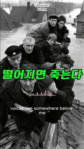 💛 듣는 순간 귀를 사로잡는 60년대 올드팝, 들을수록 매력적인 그 시절 팝송의 선율 | 1960s Old Pop