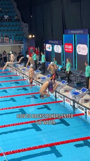 Which type are you? 👀 #swimming #entry #backstroke #worldcup #dive