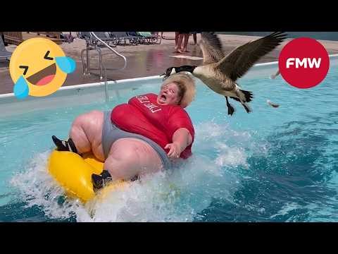 Try Not To Laugh 🤣 Top 100 Funniest Videos Ever 😂 | Funny Videos Compilation 2026 #135