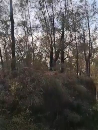 THE BEST OF ME by David Foster and Olivia Newton John my favorite love song❤ #lagukenangan #90s #lovesong #thebestofme #davidfoster #olivianewtonjohn