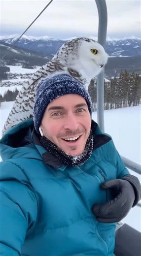 Hey, take my photo too 🤣🤣🤣 | The Adley Show