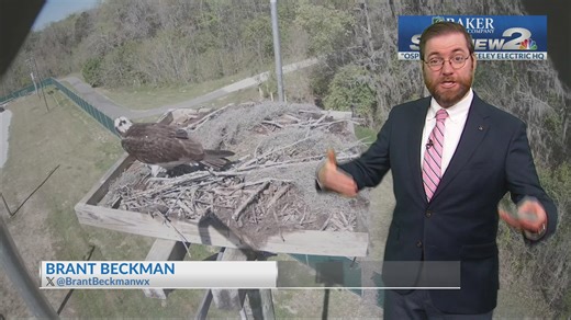 News 2 midday forecast