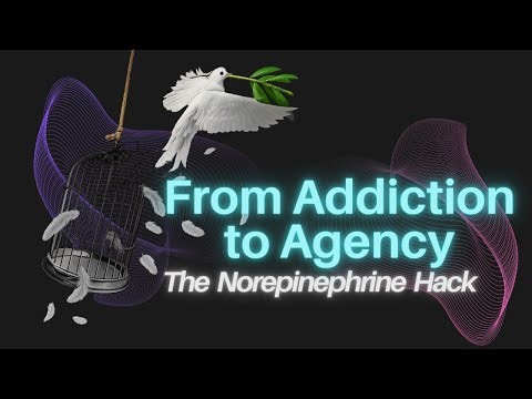 The Norepinephrine Hack Nobody Talks About | From Addiction to Agency