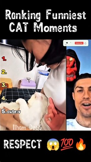 Ranking funniest Cat Moments #hilariousfails 😂 #funny #comedy #memecringe #cat #shorts #ranking