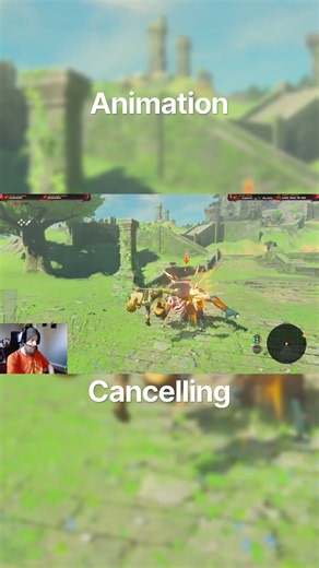 How to Animation Cancel in BOTW ⚔️ | Master Mode