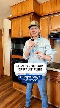 How to Get Rid of Fruit Flies! (3 Easy Traps That Work)