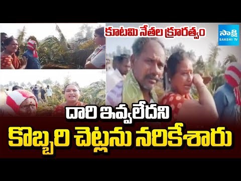 Kutami Leaders Anarchy, Coconut Trees Destroyed at Chittoor District | Sakshi TV