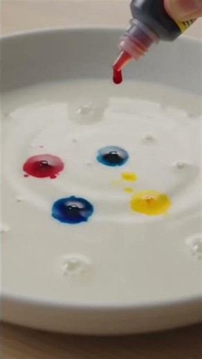 Rainbow milk explosion experiment#sciencefun