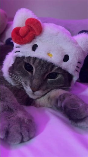 She Has Otherworldly Purrs 😂