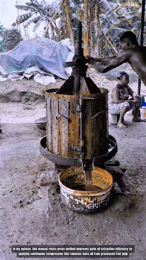 Manual Palm Oil Extraction : How Rotary Presses Separate Rich Oil