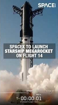 Starship Flight 14 Ready for Liftoff! 🚀 #spacex #starship #preview #spaceflight #space #shorts