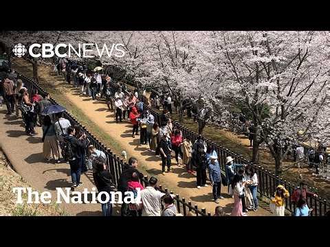 Japan works to fix its ‘tourism pollution’ problem