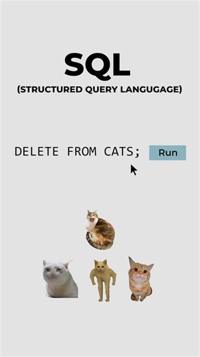 coding.kitty on Instagram: "SQL, explained by cats. #cat #code #databases #sql #data"