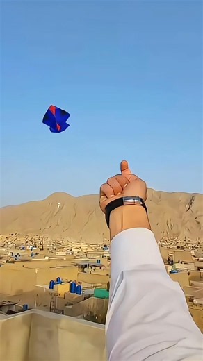 Beautiful Kite Flying 😍 #kite #kiteflying #kiteground #viralvideo #shorts