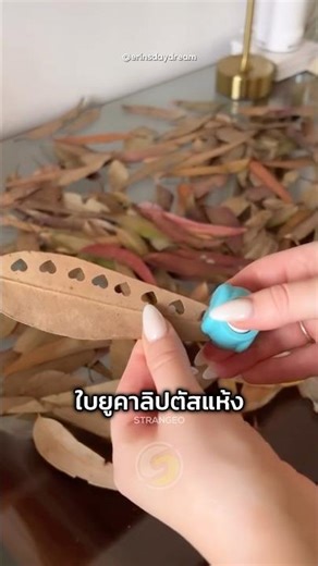 Transforming Eucalyptus Leaves into Adorable Wedding Decor