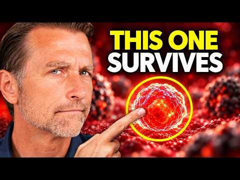 How to Target the Only Cancer Cells That Chemo Misses