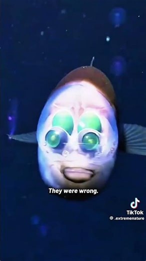 Nature's most alien creation found 2,000ft. deep